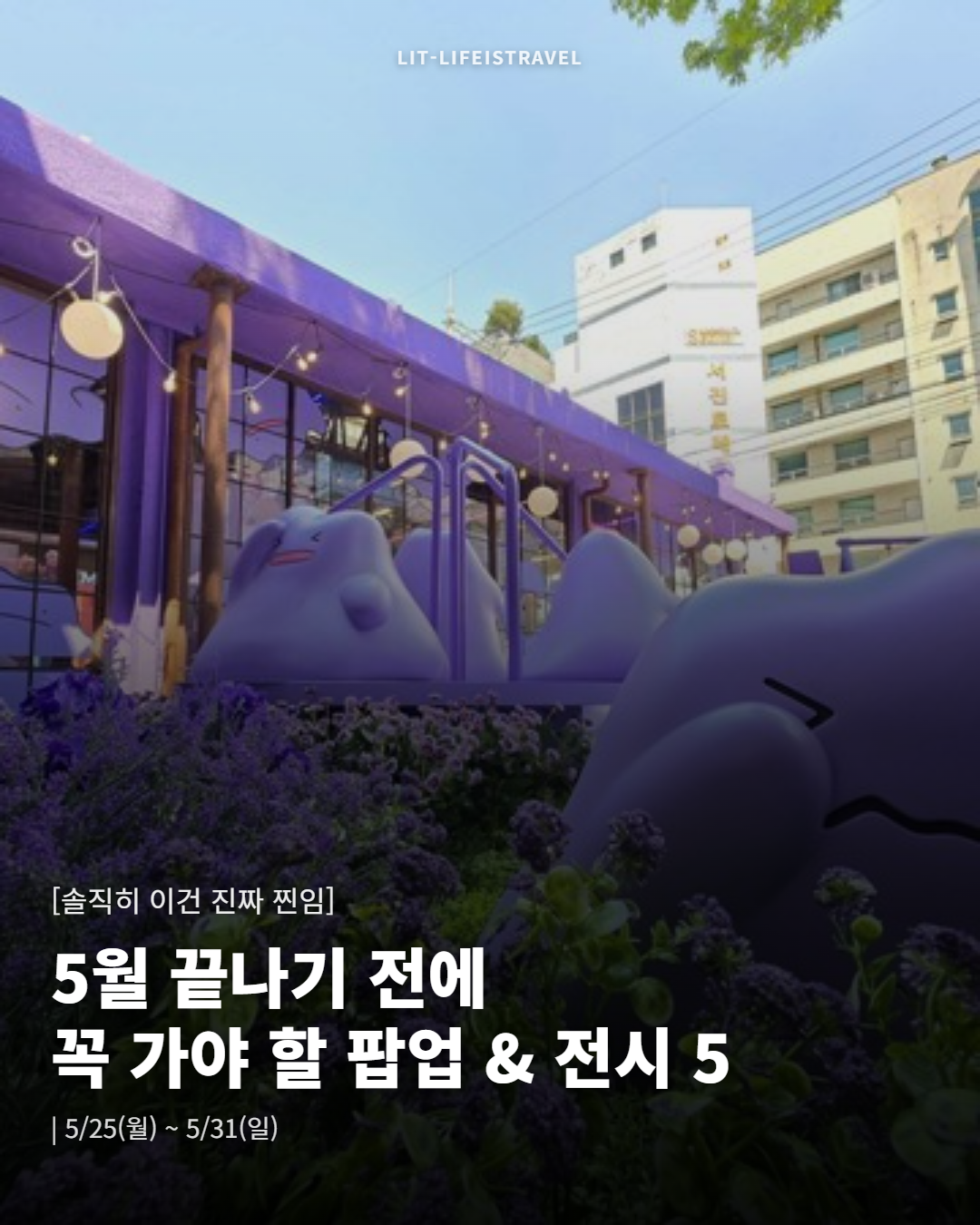 5월 끝나기 전에 꼭 가야 할 팝업 & 전시 5 — LIT 위클리 카드뉴스